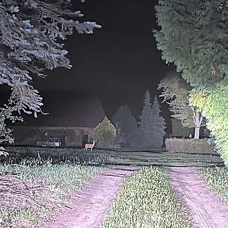 W Zabytkowej Stajni Nad Jeziorem Z Dostepem Do Parku I Sasiedztwem Xix Wiecznego Dworku Modrzewiowego *